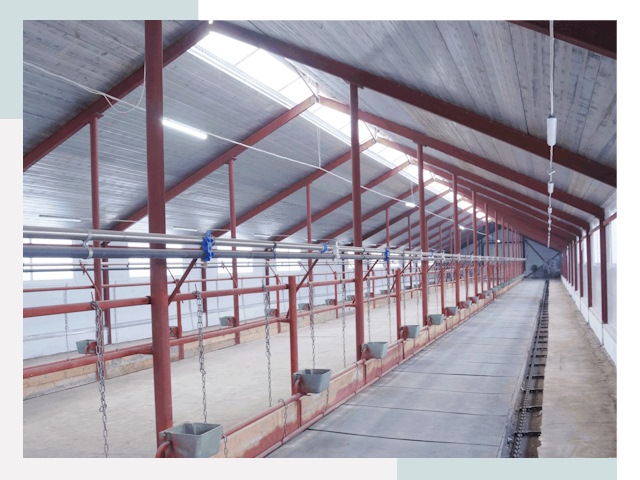 Строительство коровников в Каменске-Шахтинском от 618 руб.