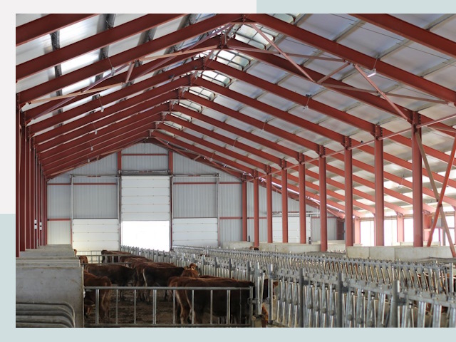 Строительство коровников в Каменске-Шахтинском