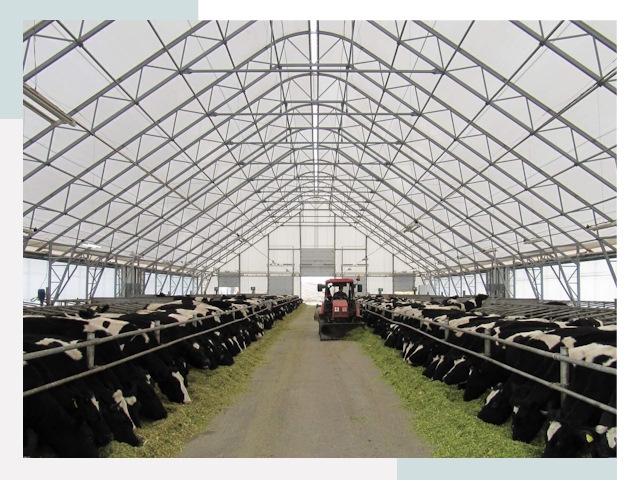 Тентовые коровники в Каменске-Шахтинском от 618 руб. - Надежно и доступно