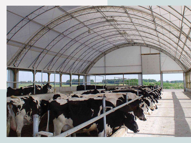 Тентовые коровники в Каменске-Шахтинском